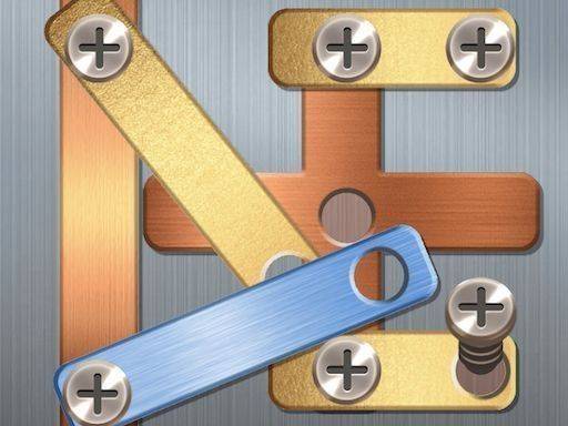 Screw Puzzle: The Fun Driving Challenge Game
