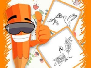 Birds Coloring Puzzle