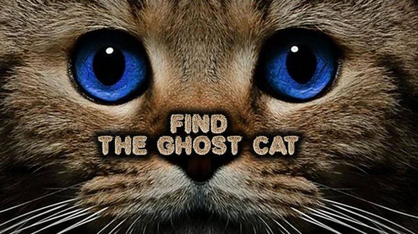 Find the Ghost Cat - Hidden Object Puzzle Game