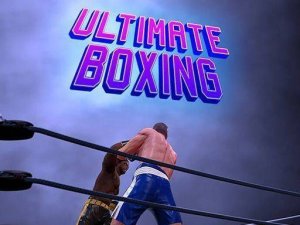 Ultimate Boxing Online Game