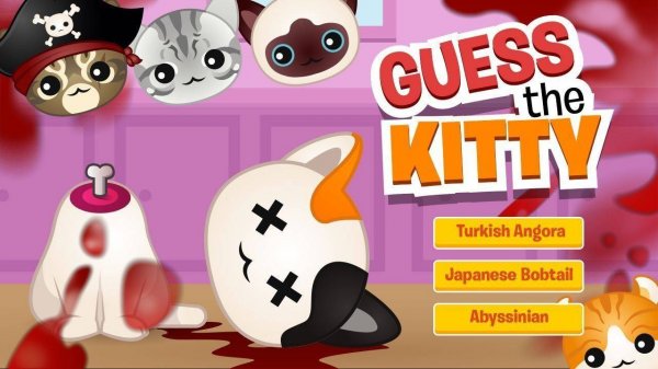 Guess the Kitty Online Quiz Game