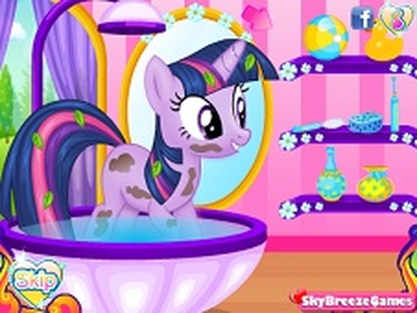 Pony Grooming and Fashion Adventure